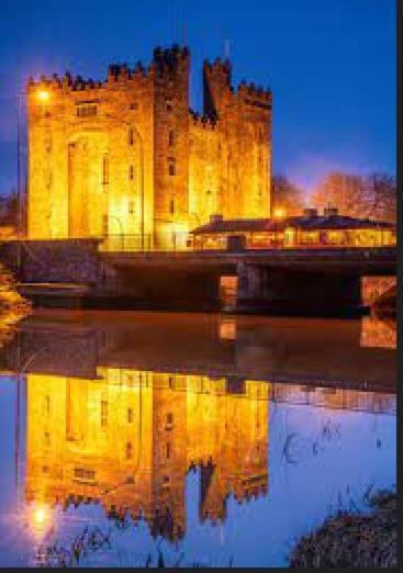 Bunratty Castle Gardens 빌라 외부 사진